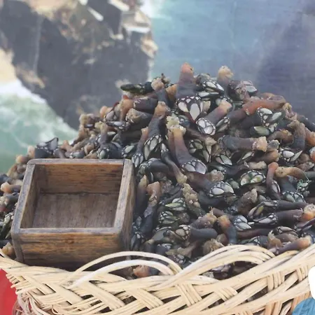 Διαμέρισμα Muralha - By Sch