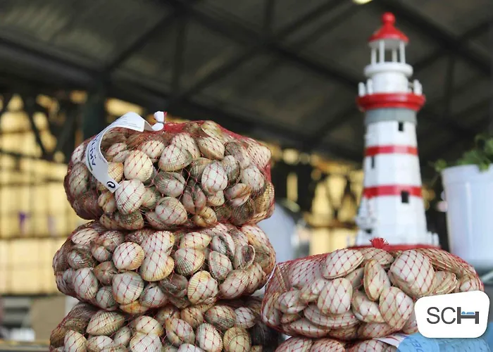 Muralha - By Sch נאזרה