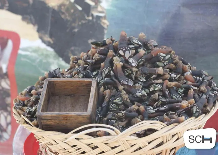 דירה Muralha - By Sch